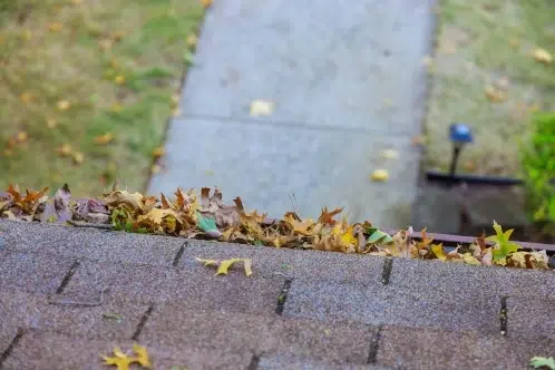 gutter cleaning